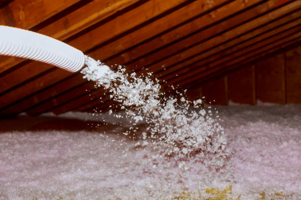 Best Cellulose Insulation in Ramtown, NJ