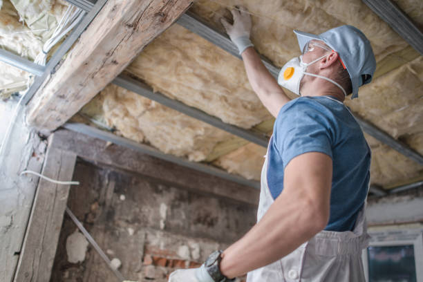 Best Cellulose Insulation in Ramtown, NJ